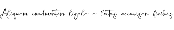 Jully Signature Font Preview