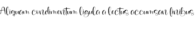 Gelisha Rocela Font Preview