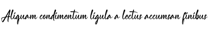 Neadless Font Preview