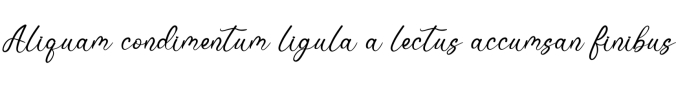 Blacky Font Preview