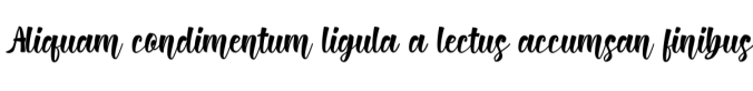 Monetary Font Preview