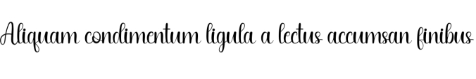 Flash Font Preview