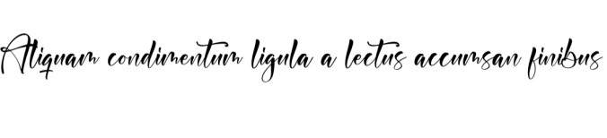 Arindyta Kalina Font Preview