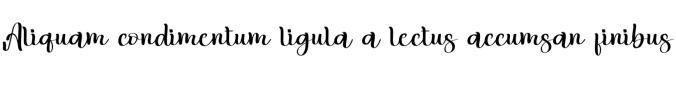 Flowers Font Preview