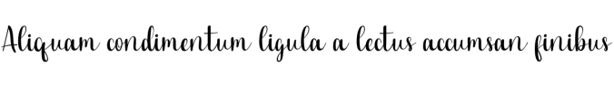 Animal Font Preview