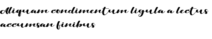 Viksi Font Preview