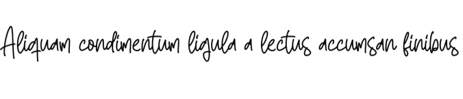 Daily Font Preview
