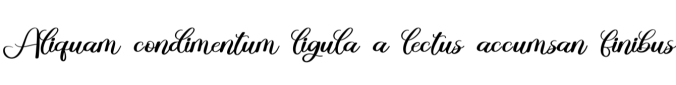 Bulgardy Font Preview