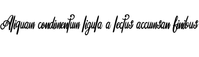 Still Life Font Preview