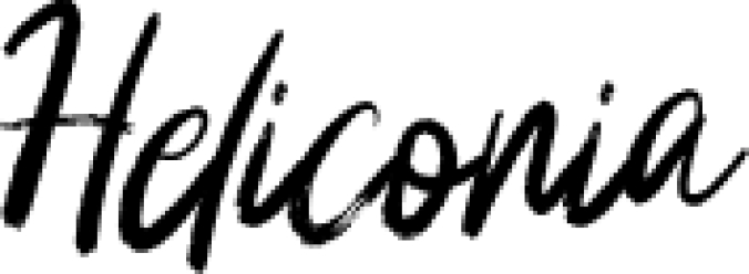 Heliconia Scrip Font Preview