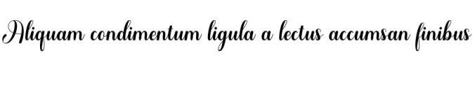 Sologia Font Preview