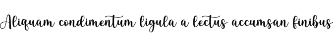 Spring Girly Font Preview