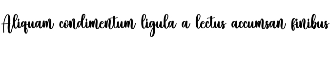 Slims Font Preview