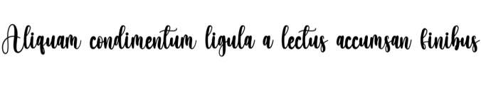 Education Font Preview