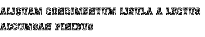 Turtle Font Preview