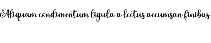 Salmon Queen Duo Font Preview