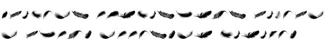 Feathers Font Preview