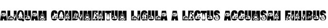 Camping Font Preview