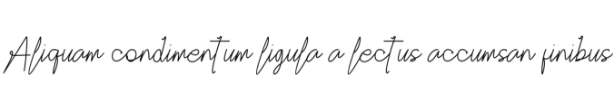 Christine Pallmer Font Preview