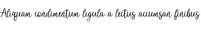 Sunflower Font Preview