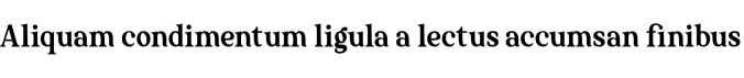 The Texterius Font Preview