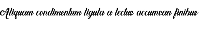 Love and Butterfly Font Preview