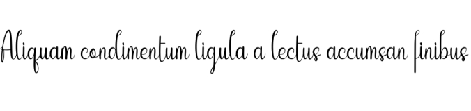 Wedding Font Preview