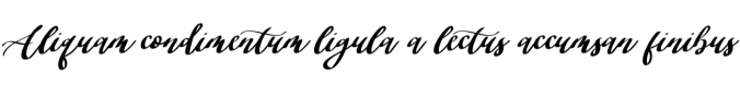 Ackerley Font Preview