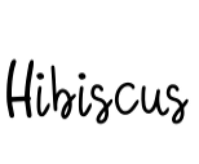 Hibiscus Font Preview