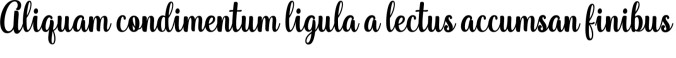 Mailerlite Font Preview
