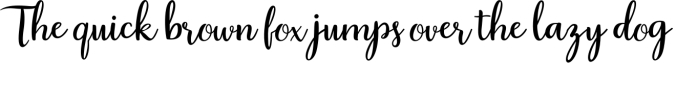 Daylily Script Font Preview