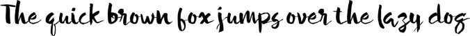 Silvia Font Preview