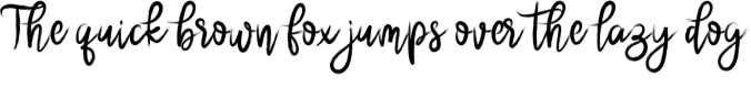 Brushnyoe Font Preview