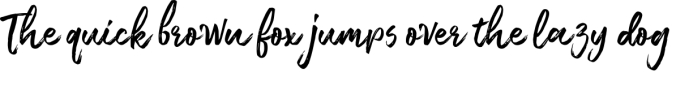 Moonshine Brush Script Font Preview