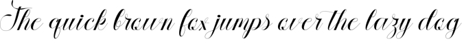 Willdiyana Script Font Preview