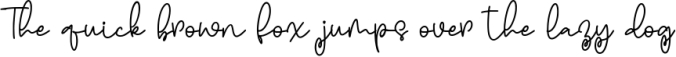 Signature Boyfriend Font Preview