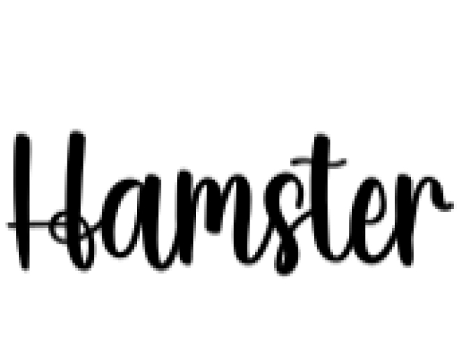 Hamster Font Preview