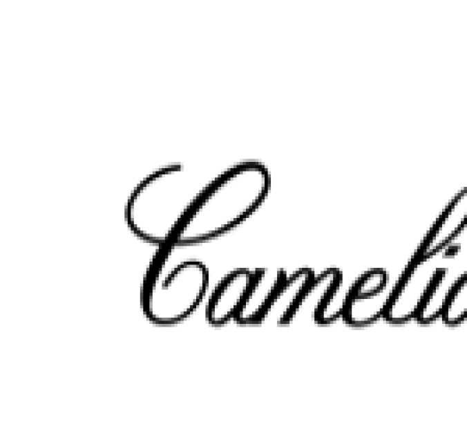 Camelia Font Preview