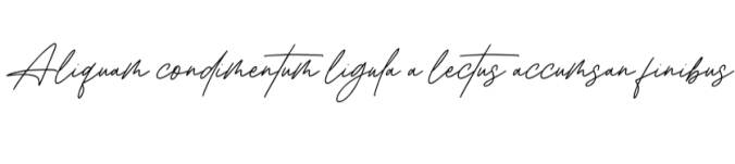 Cinthia Signature Font Preview