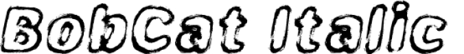 Bob Cat Italic Font Preview