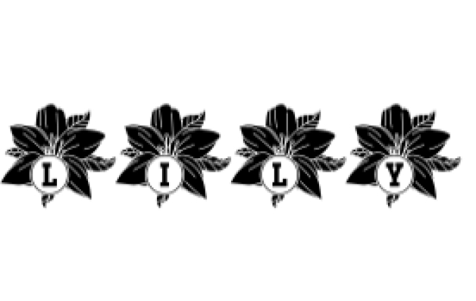 Lily Font Preview