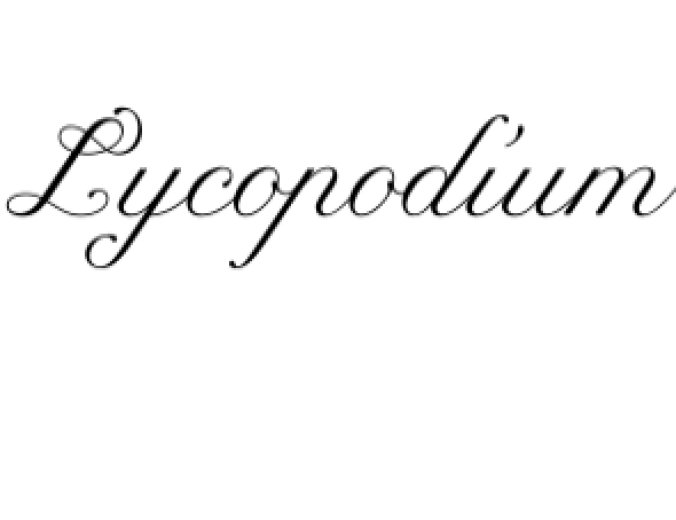 Lycopodium Font Preview