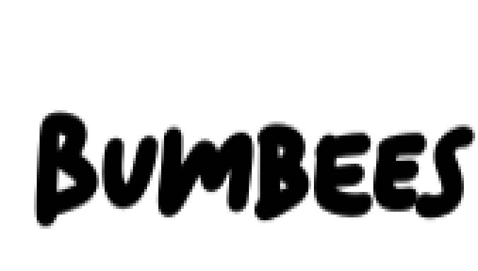 Bumbees Font Preview