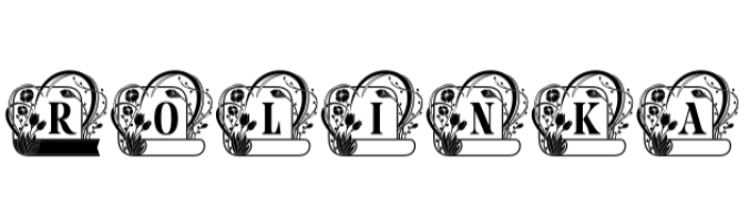 Rolinka Monogram Font Preview