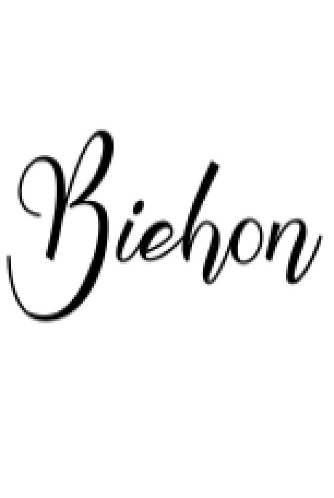 Biehon Font Preview