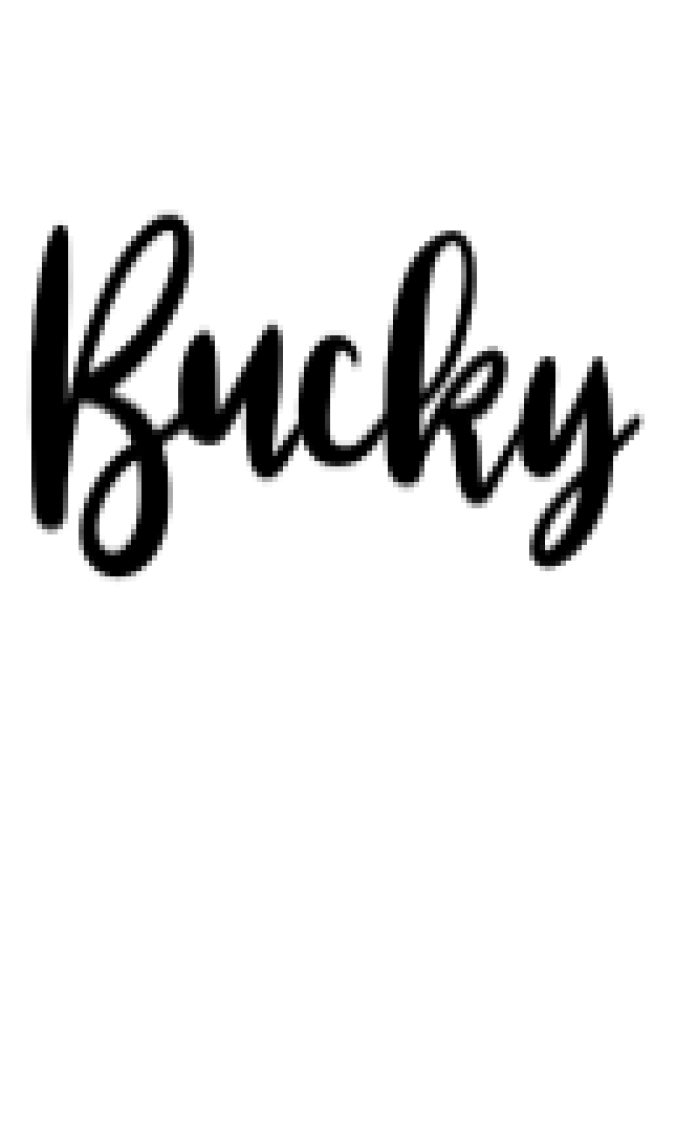 Bucky Font Preview