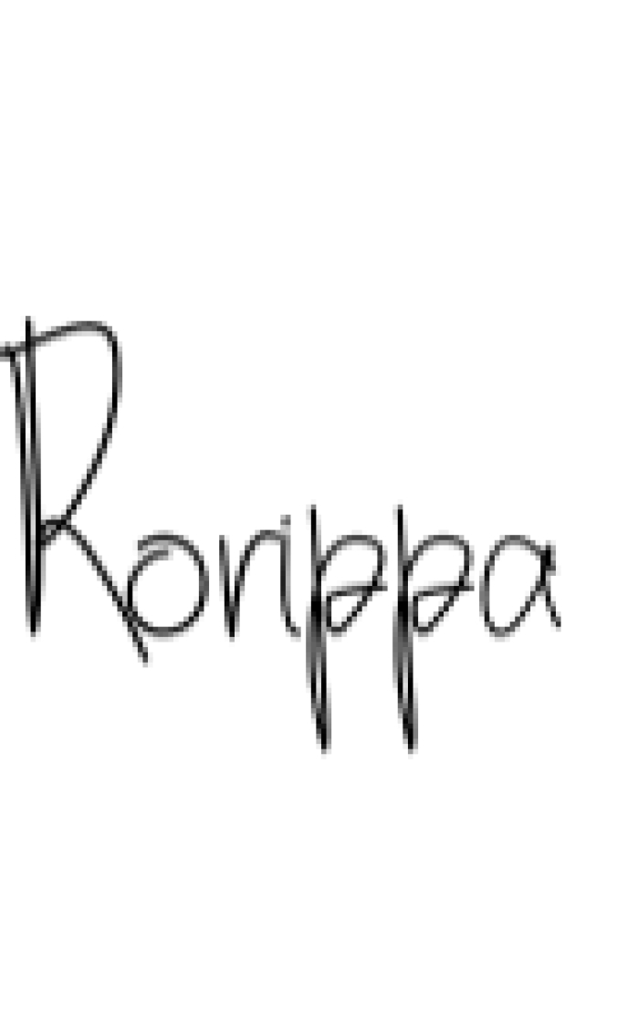 Rorippa Font Preview
