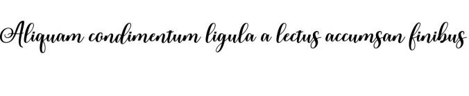 Rubeckia Font Preview