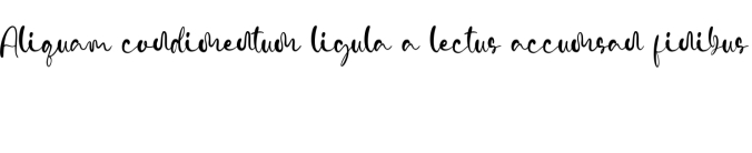 Vidytta Font Preview