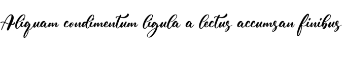 Shutter Times Font Preview